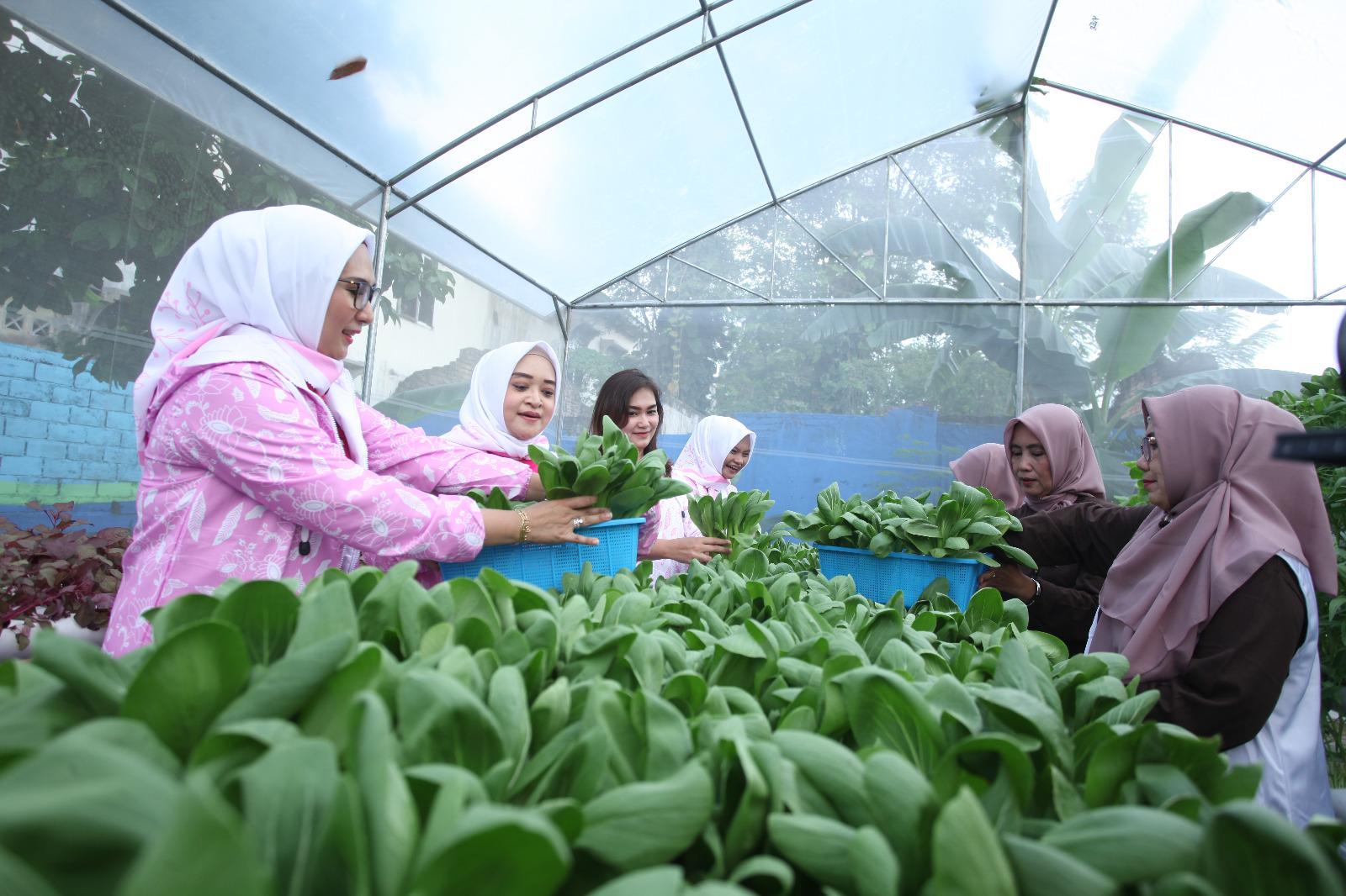 BRI Peduli Dukung Kegiatan “Urban Farming” di Tengah Kota Medan
