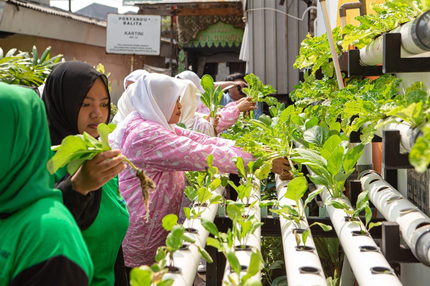 Berkat Program BRInita, Warga Rawa Barat Kembangkan Urban Farming Produktif