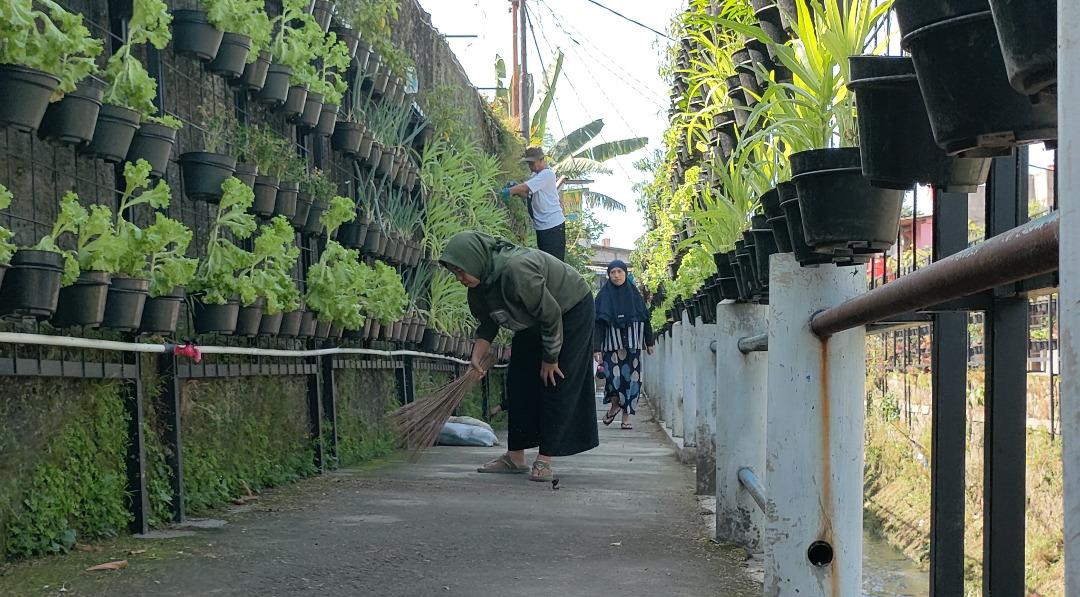 Berkat BRInita, Kelurahan Padjajaran Jadi Percontohan "Urban Farming" di Bandung